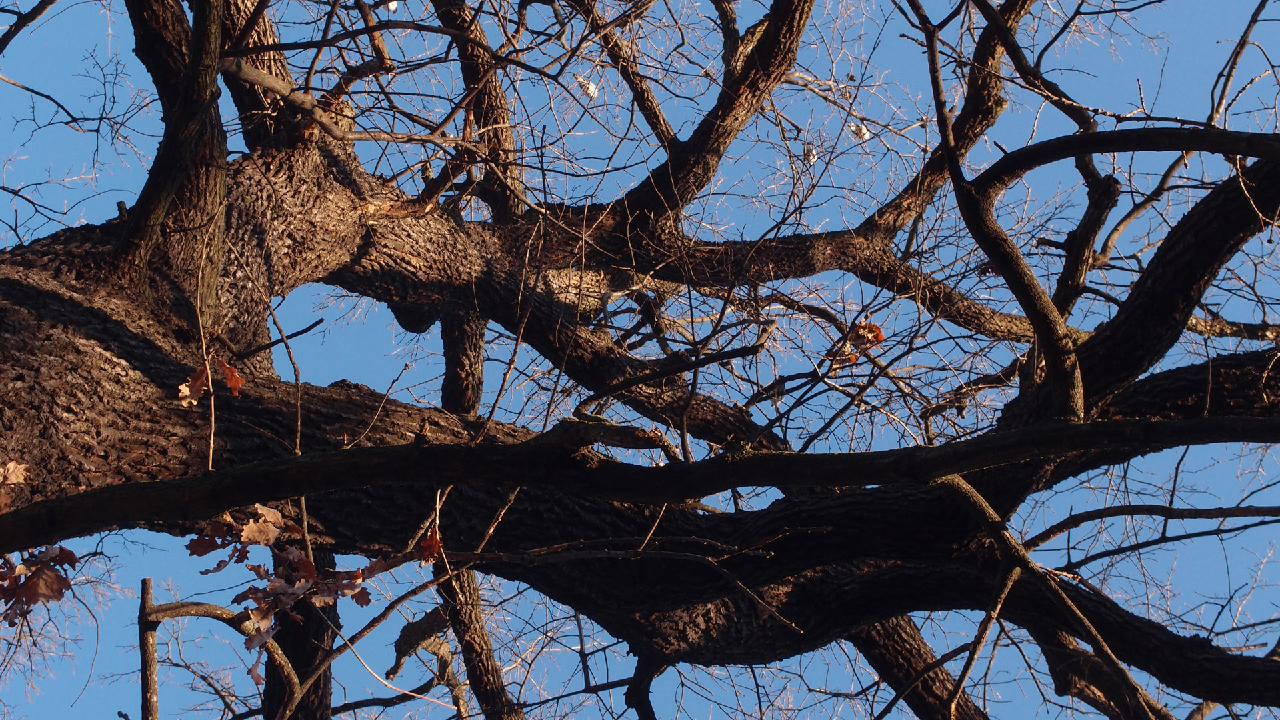 2020-12-26 Kühlgeträt (On/Off) (Remix John Cage - Empty Words IV)